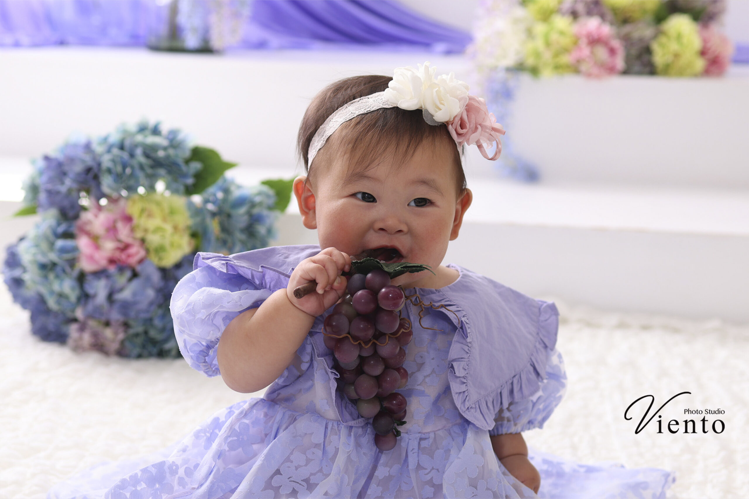 モデルキャンペーン&ハーフバースデー